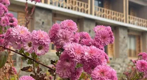 applegardenhunza - Image 5