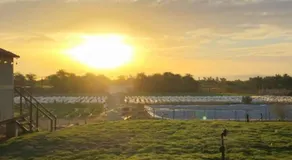 Vanstay glamping in a 25 acre farm - Image 4