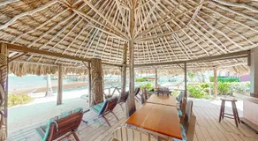 Saponaria 21-22 at Caribe Island Gold Standard Certified - Image 5