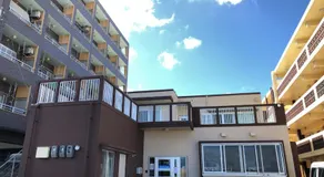 ジンジャー - Image 4