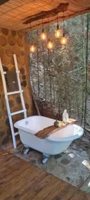 Tree House - Image 3