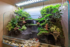Super 8 Hotel (Beijing Tiantongyuan East Subway Station) - Image 3