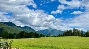 Gut im Schlag - Image 3