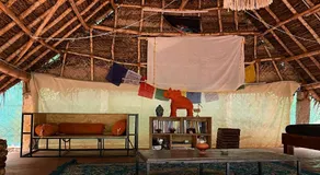 Nebula Nest Cafe & Hostel - Image 3