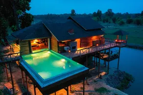 Tree Tops - Image 5