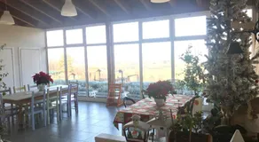 Fattoria Belvedere - Image 3
