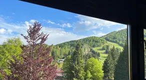 Piancavallo Loft - Garage & View - Image 3