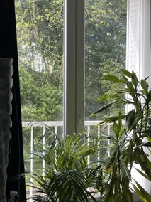 La renaissance du printemps - Image 5