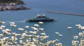 HUB INN 離れ - Image 3