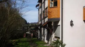 Pension - Gästehaus Zum Pfälzerwald - Image 3