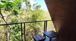 The Wild Yala - Image 4