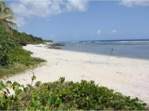 Alofa Beach Bungalows - Image 4