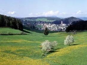 Waldfrieden - Image 5