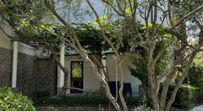 Apartman Kucer - Image 5
