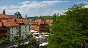 Kollmann Rooms and Apartments - Image 5