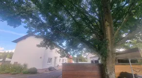 Unter der Linde - Image 4