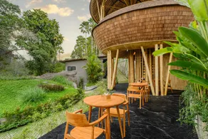Jungleight Bali - Image 5