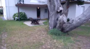 Appart 53 m2 en Rdc maison, jardin, à 50 m plage - Image 4