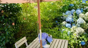 Chez Sophie - Image 5