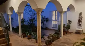 Triana Pureza - Image 4