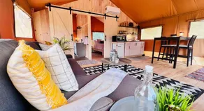 Tropical getaway Pool and tiki bar - Image 2