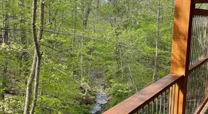Cricket Hill Treehouse by Amish Country Lodging - Image 4