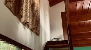 Casa del árbol - Image 5