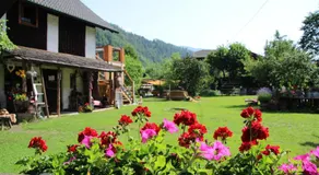Sachserhof-Herz zuhause, Seele auftanken, für Familien und Paaren- Große Garten, Pool, Gratis Parken & Welan, Zentral gelegen in Kärnten zwischen Berge und Seen - Image 5