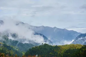 Longquan Fengyu Villa - Image 5