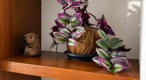 Hermosa Habitación doble privada - Image 5
