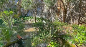 Chatvasana - Image 4