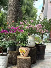 Jiabao Hotel - Image 3