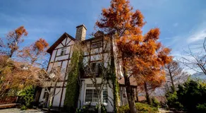 The Cotswolds Villa - Image 4