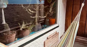 PinkDeer - Image 5