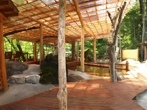 Akaishi Onsen - Image 2