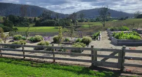 Pub in the Paddock - Image 3