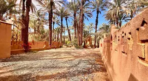 Serenity Lodge Zagora Guest House Restaurant & Desert Excursions - Image 4