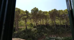 Felip - Image 5