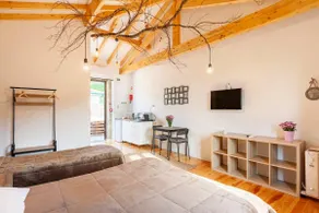 Shared Jacuzzi Shiitake Studio - Image 2