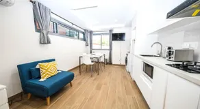 Sydney strathfield brand new studio - Image 5