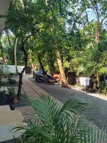 Paradiso Serene Studios, Anjuna - Image 3