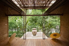 Sense Rain Forest - Image 4