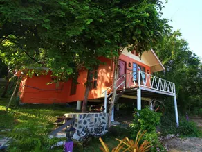Baanrai Areeya - Image 4