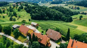 Wine & Tourism Bračko - Image 4