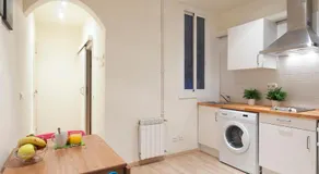 Spot Smart Nomad - Image 3