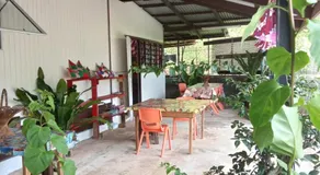 Ravehei smile relais 3 Huahine - Image 4