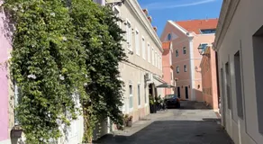 Casa Cor de Rosa - Image 5