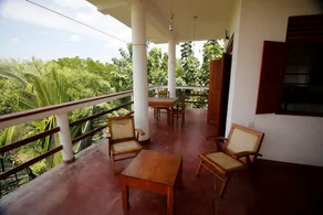 Peacock Land - Image 4