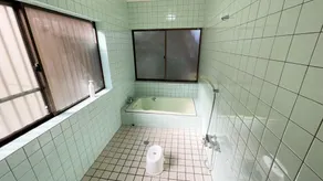 Yamamizuki - Image 5