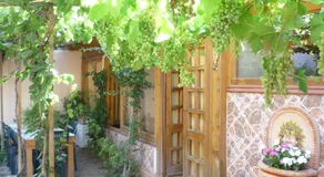 B&B Marino E Lily - Image 4